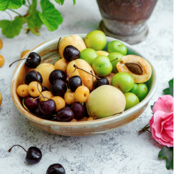 frutta-di-stagione